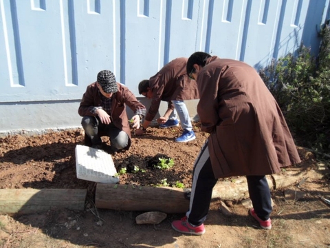 Preparação do terreno da horta I.